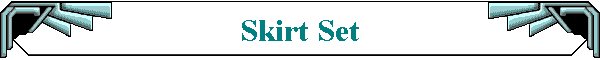 Skirt Set
